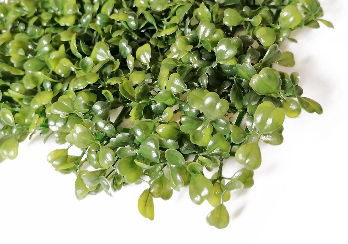 ŻYWOPŁOT BUKSZPAN / 25x25cm / FA-009 - obrazek 2