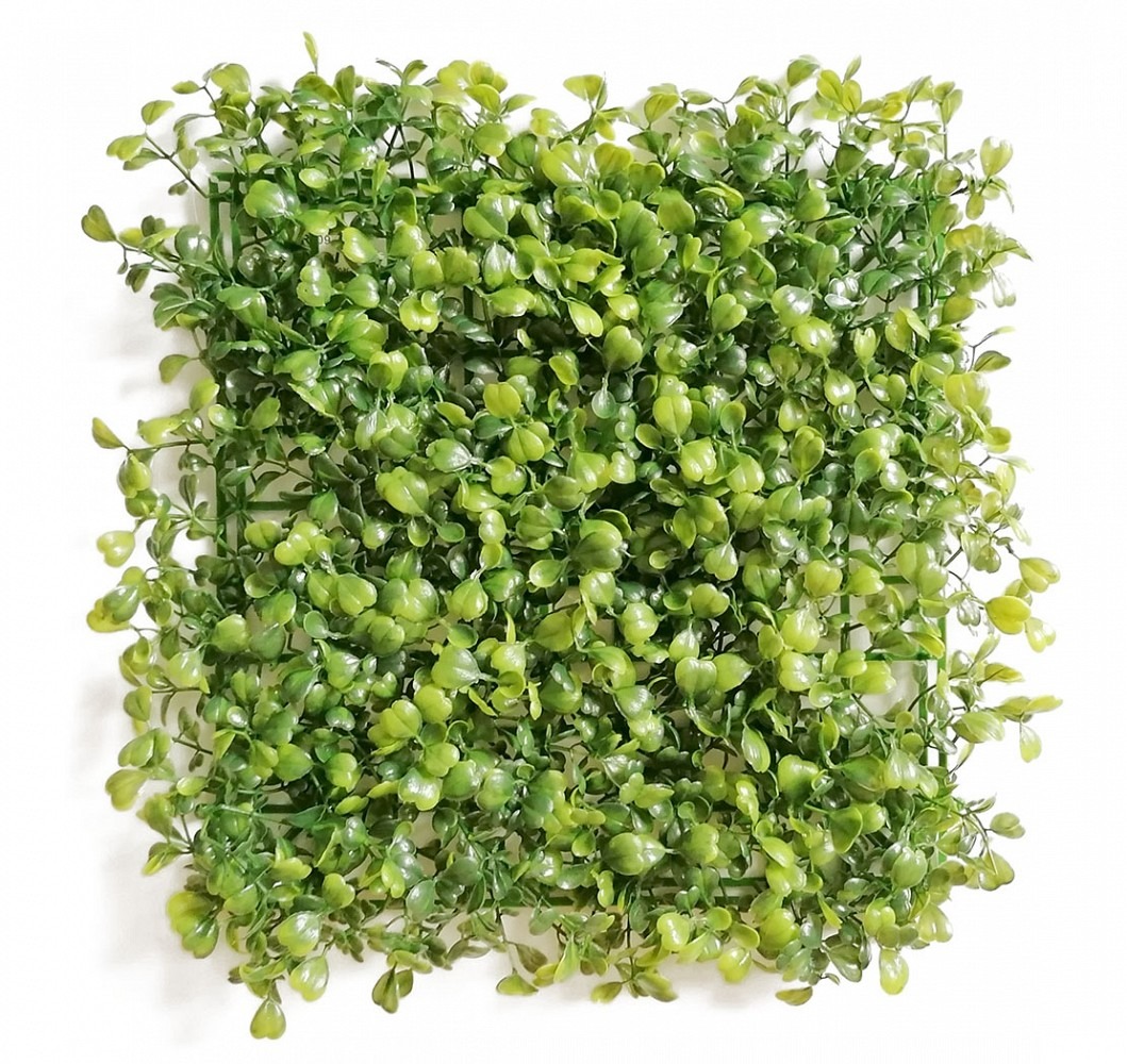 ŻYWOPŁOT BUKSZPAN / 25x25cm / FA-009