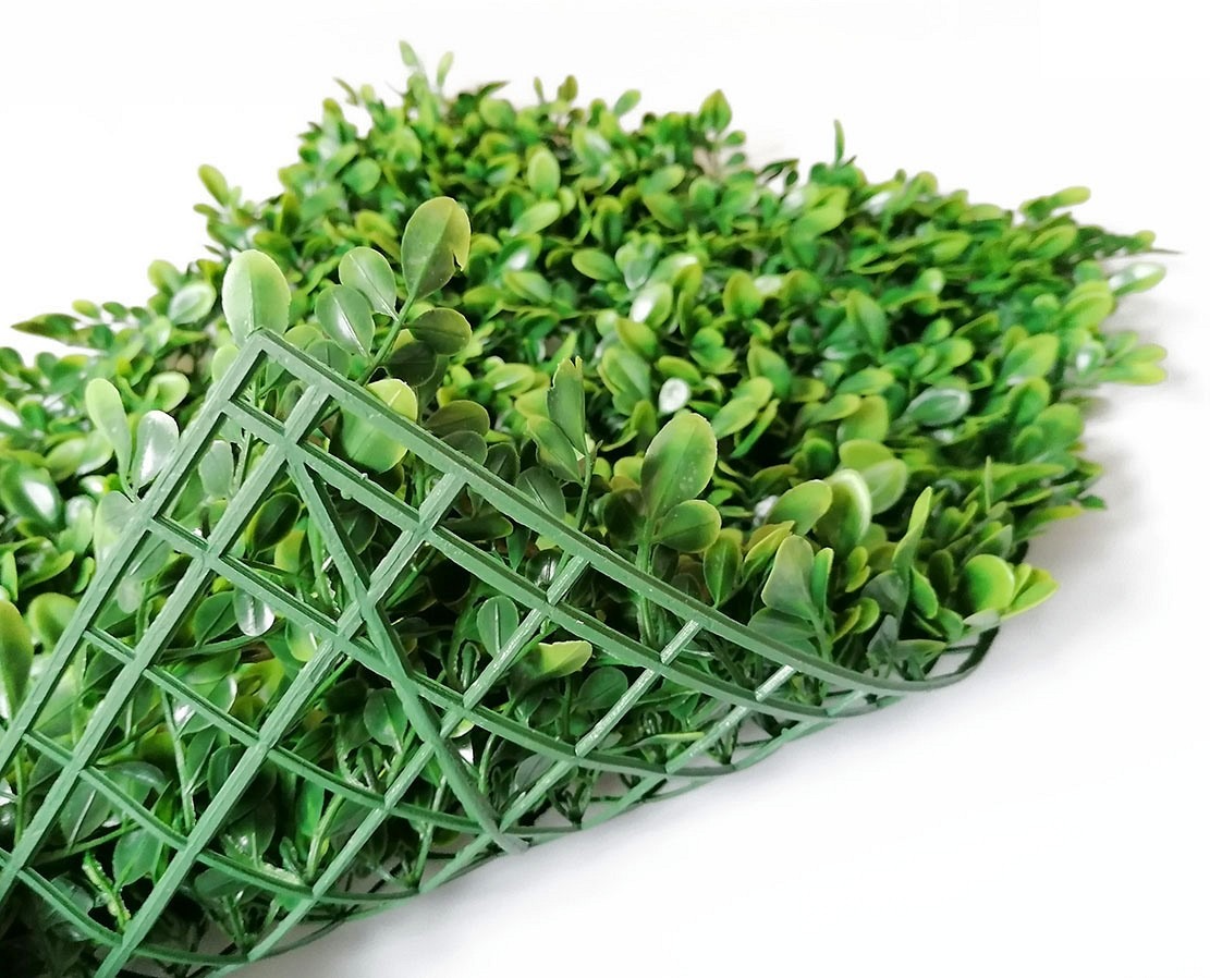 ŻYWOPŁOT BUKSZPAN / 60x40cm / FA-010 - obrazek 3