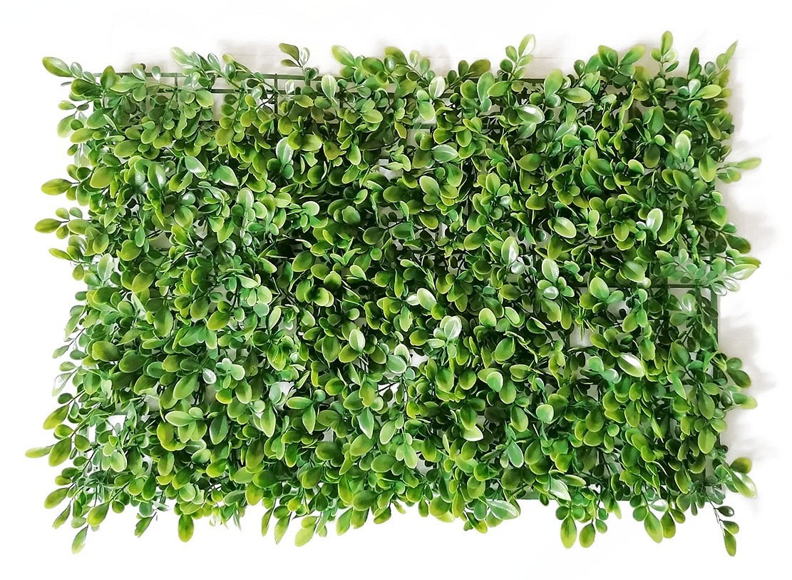 ŻYWOPŁOT BUKSZPAN / 60x40cm / FA-010