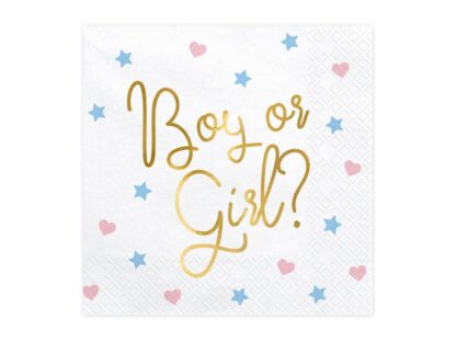 SERWETKI PAPIEROWE / BOY OR GIRL / 20szt