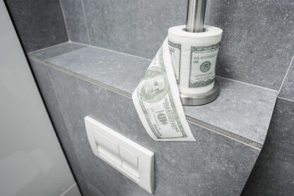 PAPIER TOALETOWY DOLAR  XL - obrazek 2