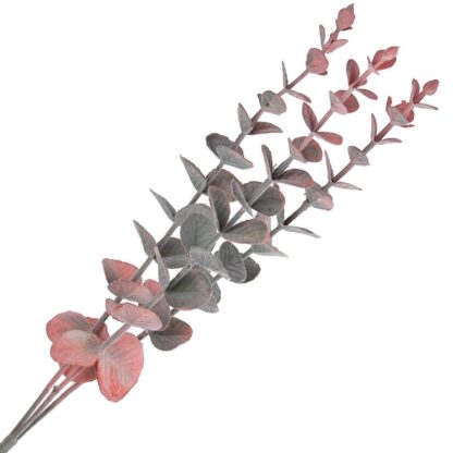 EUKALIPTUS GAŁĄZKA CZERWONY 55cm
