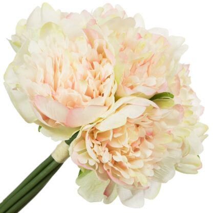 BUKIET PEONIA PIWONIA ECRU/JASNY RÓŻ 25cm