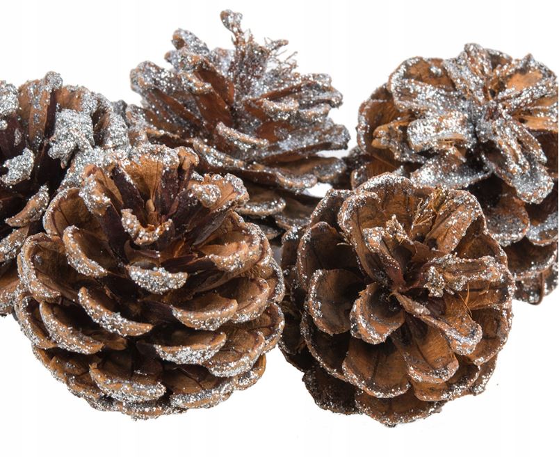 SZYSZKI SREBRNE BROKAT 12szt XG17-03