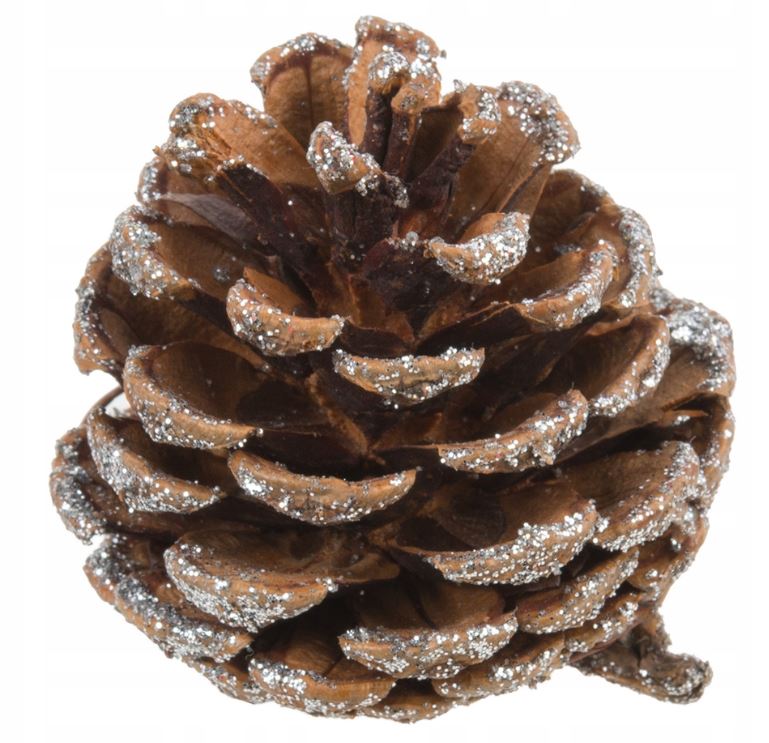 SZYSZKI SREBRNE BROKAT 12szt XG17-03 - obrazek 2