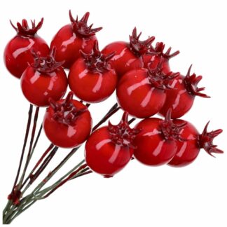 JARZĘBINA CZERWONA MAŁA 12szt