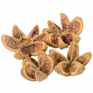 KARTUSH KWIATY NATURALNE 4szt