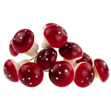 GRZYBKI MUCHOMORKI NA DRUCIKU 10szt