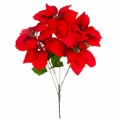 GWIAZDA BETLEJEMSKA CZRW BUKIET 5szt 52cm - obrazek 2