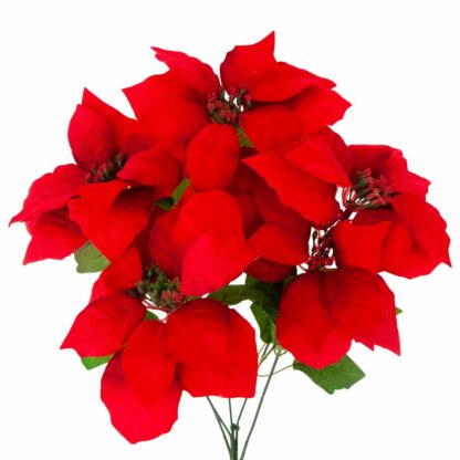 GWIAZDA BETLEJEMSKA CZRW BUKIET 5szt 52cm