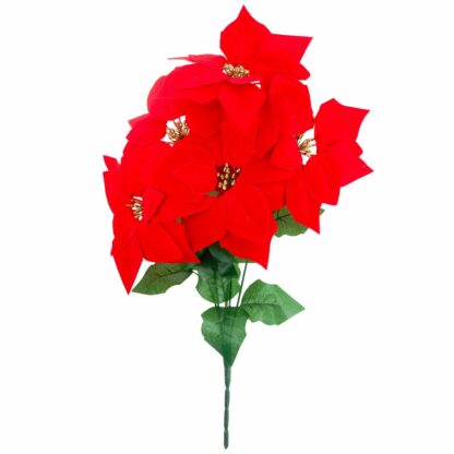 GWIAZDA BETLEJEMSKA CZERWONA BUKIET 5szt 48cm - obrazek 2