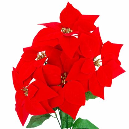 GWIAZDA BETLEJEMSKA CZERWONA BUKIET 5szt 48cm - obrazek 3