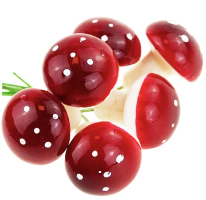 GRZYBKI MUCHOMORKI NA DRUCIKU 6szt