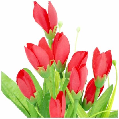 BUKIET MINI TULIPANKI CZERWONE 40cm