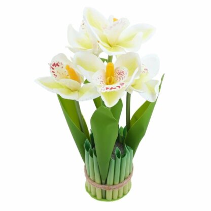 BUKIET ŻONKILE BIAŁE ECRU 27cm 5szt.
