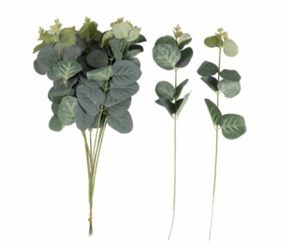 EUKALIPTUS GAŁĄZKA 35cm