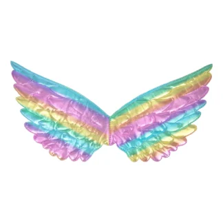 SKRZYDEŁKA TĘCZOWE 44X22cm