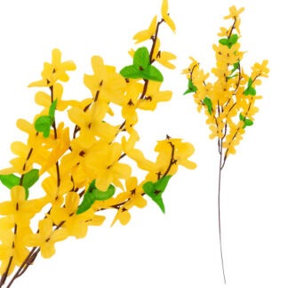 FORSYCJA BUKIET 5szt